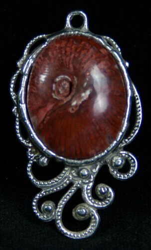 Fossil Red Horn Coral Pendant - Utah #7121